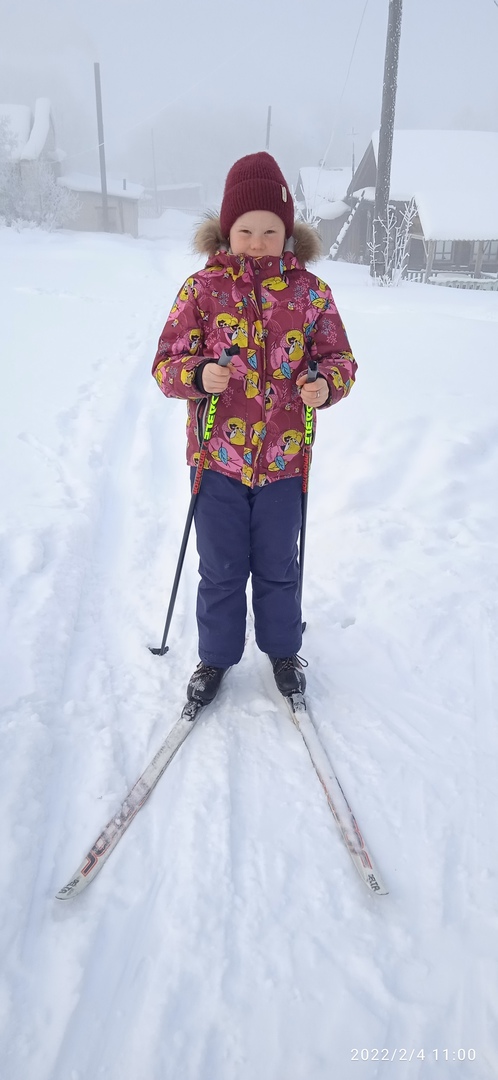 Горбушина Елизавета Владимировна
